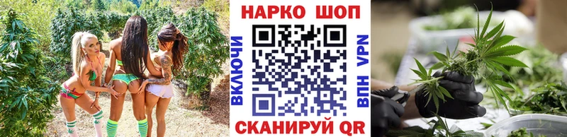 Где купить наркотики Дубовка ГАШ  COCAIN  МЕГА как зайти  Канабис  Меф  APVP 