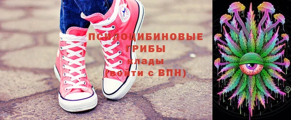 прущая мука Рославль