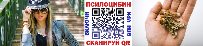 цены   Дубовка  Галлюциногенные грибы мицелий 